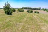 5.3 Acres Park Ridge Road - Photo 26