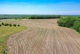 5.3 Acres Park Ridge Road - Photo 30