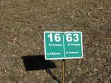 Lot 16 Fly Rod Trail - Photo 21