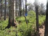Lot 16 Fly Rod Trail - Photo 38