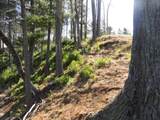 Lot 16 Fly Rod Trail - Photo 43