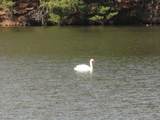 Lot 16 Fly Rod Trail - Photo 46