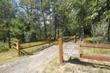 Lot 53, 3rd Avenue - Photo 2