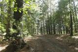 Lot 53, 3rd Avenue - Photo 5