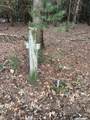 N8503 County Road N - Photo 3