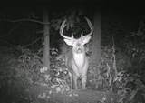 W9401 Hogan Road - Photo 81
