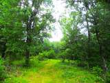 919 Gale Drive - Photo 23