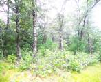 919 Gale Drive - Photo 28