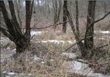 9719 Windy Acres Way - Photo 3