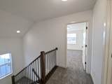 6989 Spotted Sandpiper Street - Photo 52