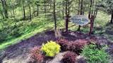 77 Morningside Road - Photo 20