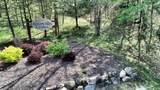 77 Morningside Road - Photo 28