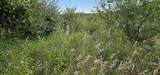 Lot 108 White Flagg Lane - Photo 2