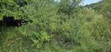 Lot 108 White Flagg Lane - Photo 12