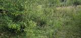 Lot 108 White Flagg Lane - Photo 14