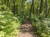 2 + acres Meadow Drive - Photo 15