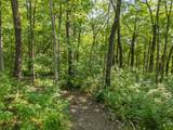 2 + acres Meadow Drive - Photo 16