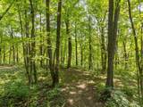 2 + acres Meadow Drive - Photo 22