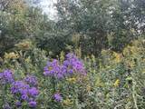 102 +/- Acres Buck Creek Road - Photo 33