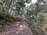 102 +/- Acres Buck Creek Road - Photo 36