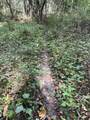 102 +/- Acres Buck Creek Road - Photo 37