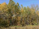 102 +/- Acres Buck Creek Road - Photo 40