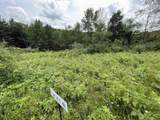 Lot 61 Staghorn Court - Photo 11