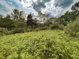 Lot 61 Staghorn Court - Photo 12