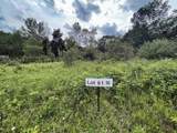 Lot 61 Staghorn Court - Photo 13