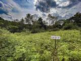 Lot 61 Staghorn Court - Photo 2