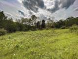 Lot 61 Staghorn Court - Photo 9