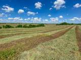444+/- Acres County Road Dr - Photo 10