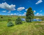444+/- Acres County Road Dr - Photo 19
