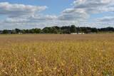 Lot 12 Sommerset Road - Photo 3