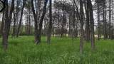 LOT 73 Pine Drive - Photo 10