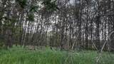 LOT 73 Pine Drive - Photo 11