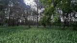 LOT 73 Pine Drive - Photo 12