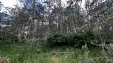 LOT 73 Pine Drive - Photo 15