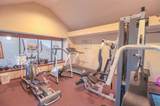 549 D'onofrio Drive - Photo 46