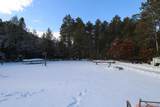 N10001 Pine Cone Court - Photo 41