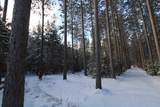 N10001 Pine Cone Court - Photo 43