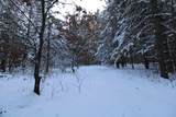 N10001 Pine Cone Court - Photo 53