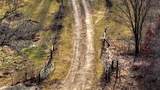 165+/- Acres Miess Road - Photo 4