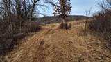 165+/- Acres Miess Road - Photo 7