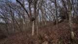 165+/- Acres Miess Road - Photo 78