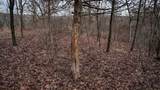 165+/- Acres Miess Road - Photo 84