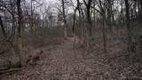 165+/- Acres Miess Road - Photo 85