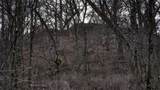 165+/- Acres Miess Road - Photo 86