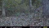 165+/- Acres Miess Road - Photo 88