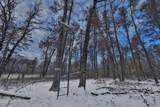 60.14 Ac Deerborn Drive - Photo 18